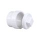 DWV Clean-Out Adaptors & Plugs